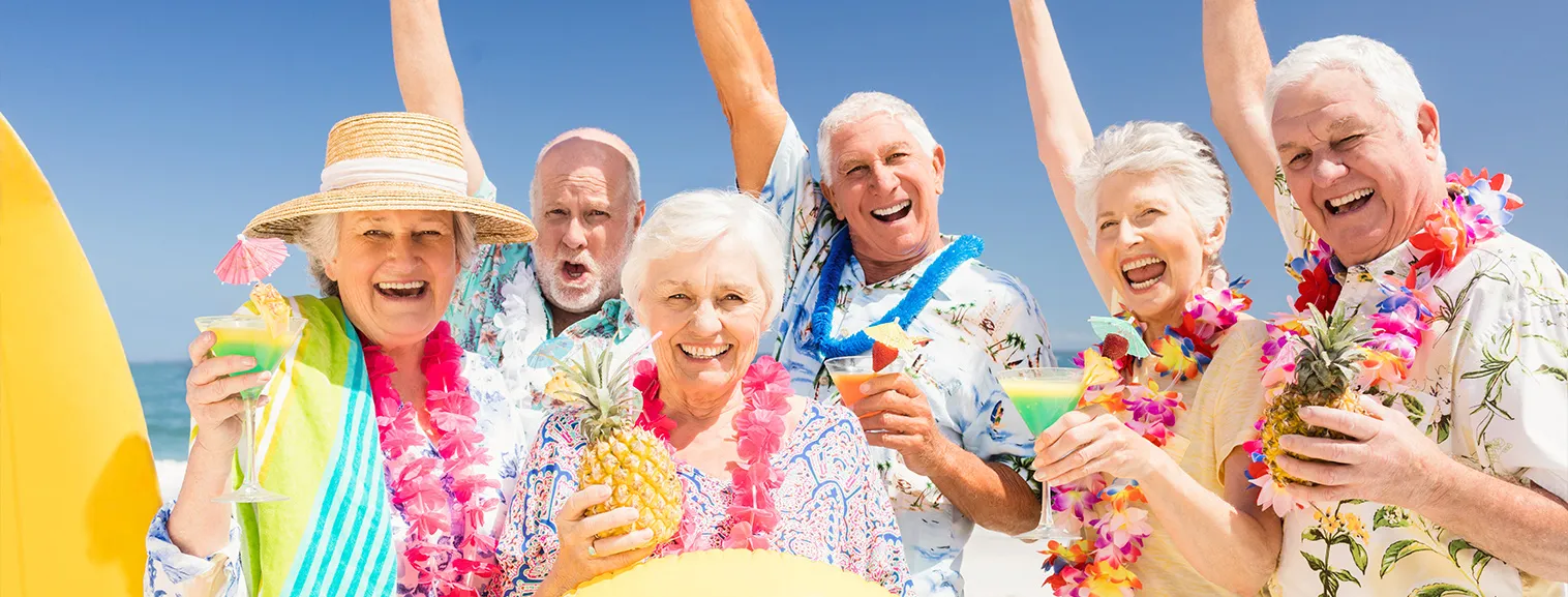 cruise vaction banner