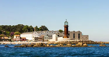 Cruise banner