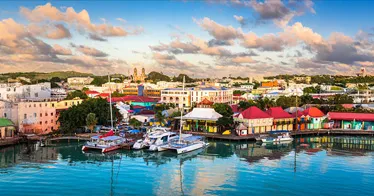 Cruise banner