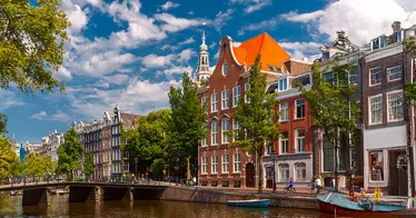Cruise banner