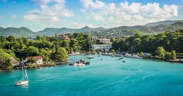 Cruise banner