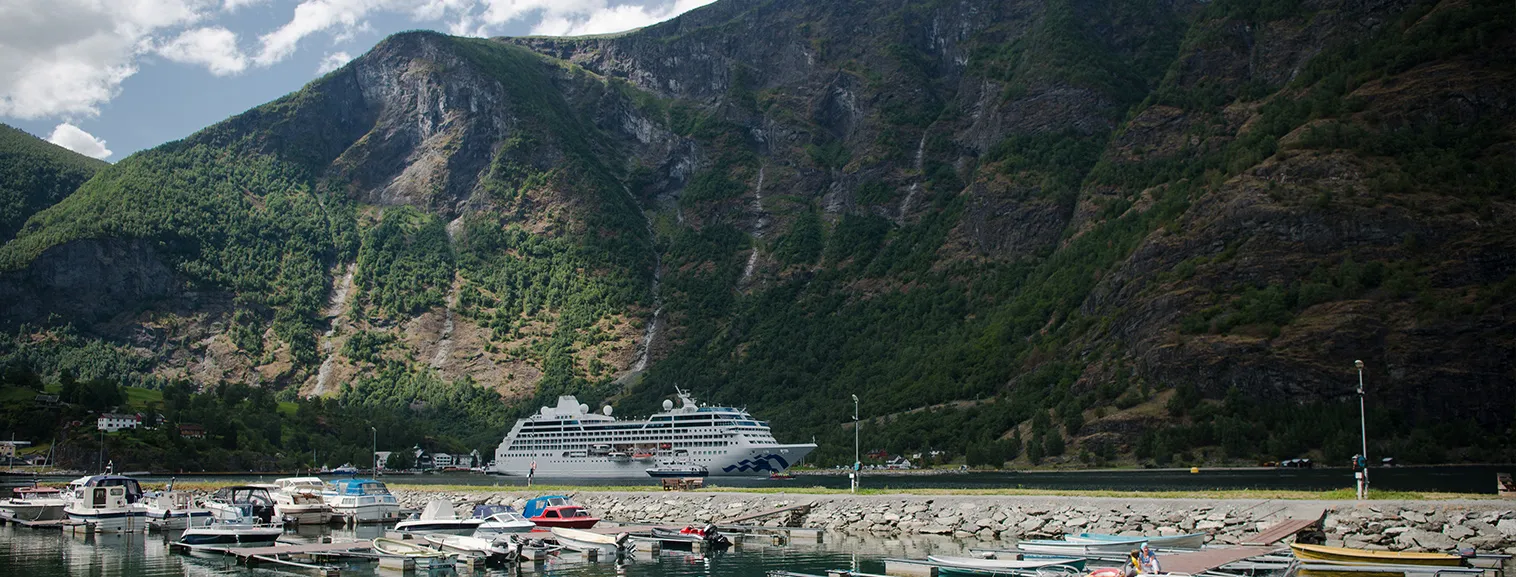 cruise vaction banner