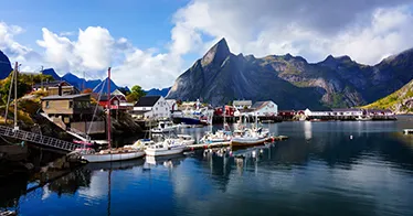 Cruise banner