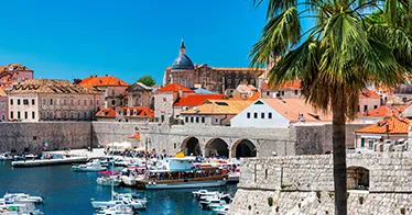 Cruise banner