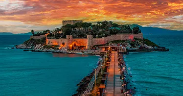 Cruise banner