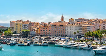 Cruise banner