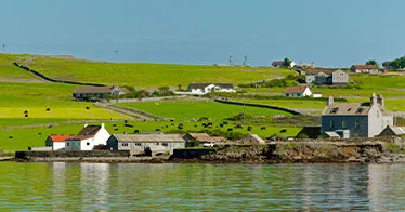 Cruise banner