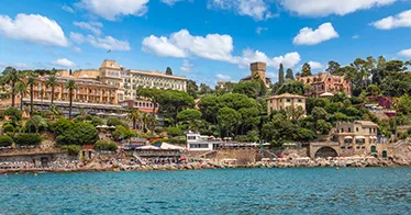 Cruise banner