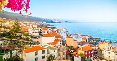 Cruise banner