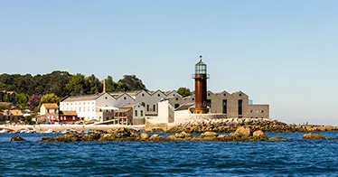 Cruise banner