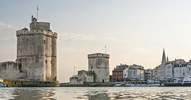 Cruise banner