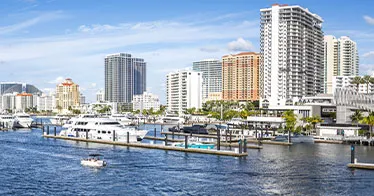 Cruise banner
