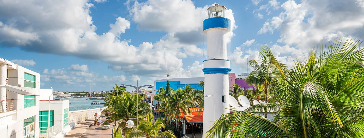 cruise vaction banner