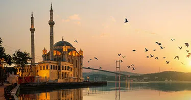 Cruise banner