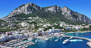 Cruise banner