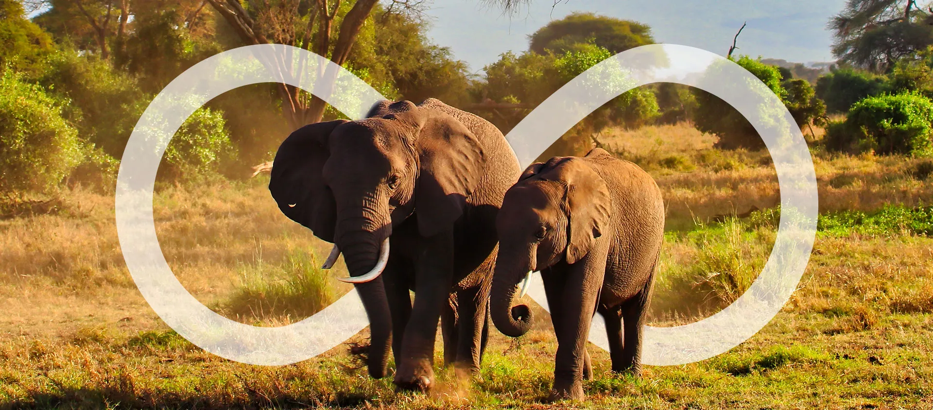 Kenya Banner